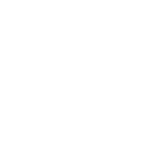 doodydoodydude's emblem