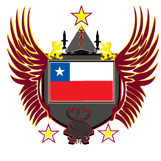 EL Clan Dragon's emblem