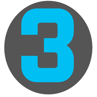 3i300's emblem