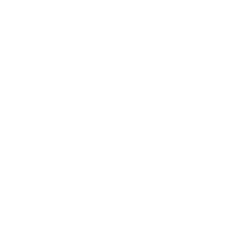 Zvachniy's emblem