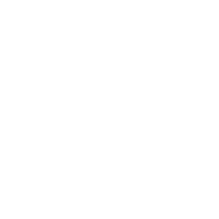 leir69's emblem