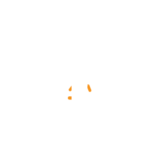 DSSCTONG's emblem