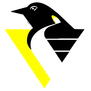 NinjaVsRaptor's emblem