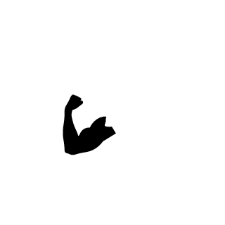 _BIH_PARADOX's emblem