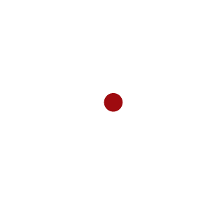 Sgt_TomCruise's emblem