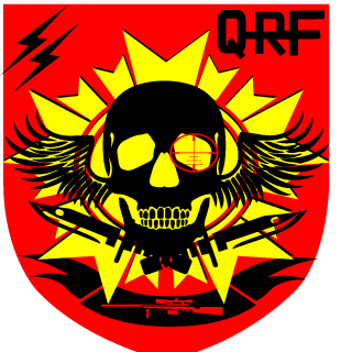xXSYNISTERXx596's emblem