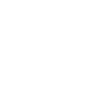 -V-boge-CN's emblem