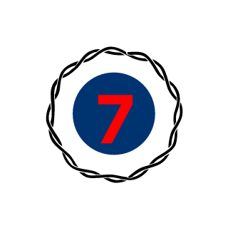 vision492's emblem