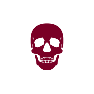 SingHBrT's emblem