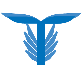 Zlatanicc's emblem