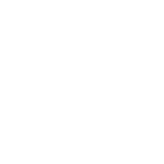 HoshiarpuriZ's emblem