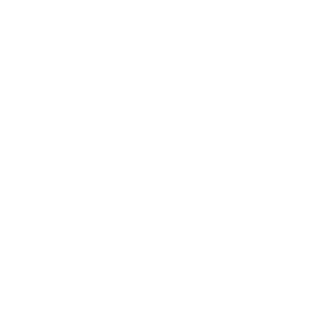 PrimeGu1's emblem