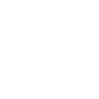 sizerone's emblem
