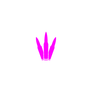 91bertin's emblem