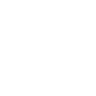 Paladin_Anderson's emblem