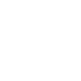 BoostedGT0's emblem