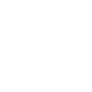 G-STARS-420's emblem