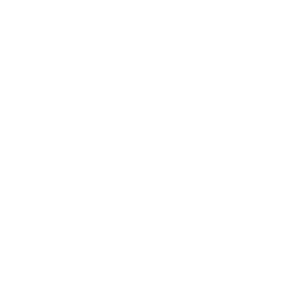 xXVisCeRaLXx's emblem