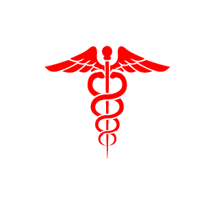 Hinged78Warrior's emblem