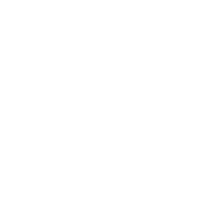 17Silent89's emblem