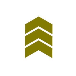 NicoSaint89's emblem
