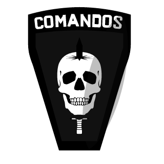 RavenForsaken's emblem