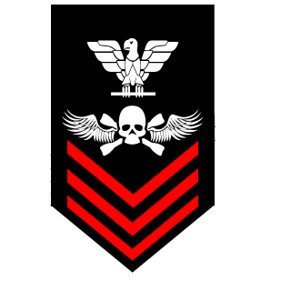 NBS Guardian's emblem