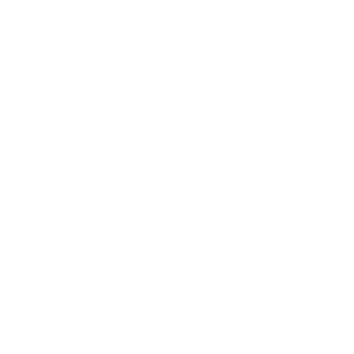 sikecity's emblem