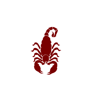 ROCHAO74's emblem