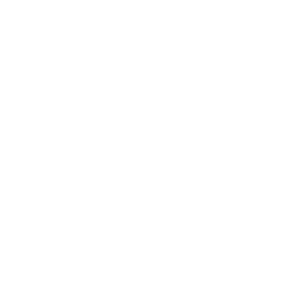 Lancerllott's emblem
