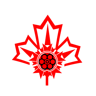 CDNstrongbeard's emblem