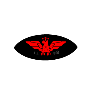 KOPILKIN50's emblem