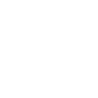 FlavioDinossauro's emblem