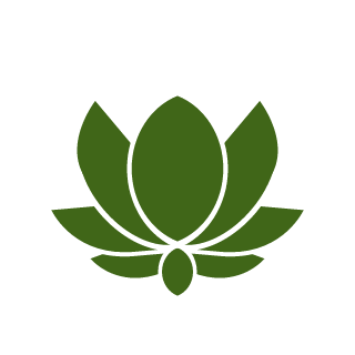 SuperPepe1138's emblem