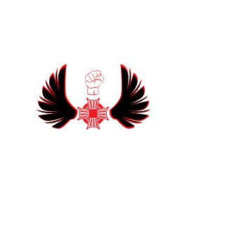 PauloBosco's emblem