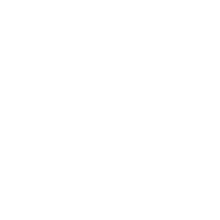 07291993's emblem