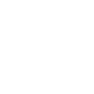 VirON-REG-'s emblem