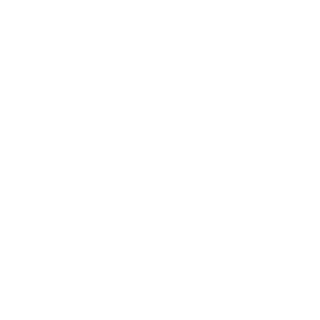 dnRemy's emblem