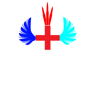 1Bim2Bom's emblem