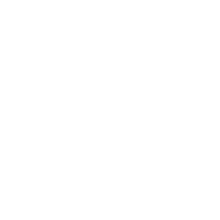 sgrNEPHALEM's emblem