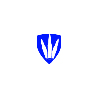 DarkJoker98's emblem