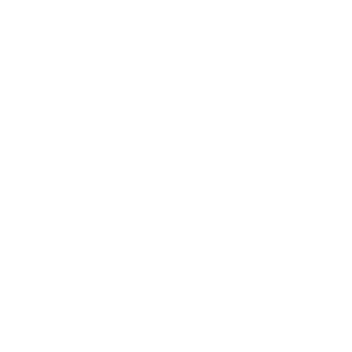 21breeze's emblem