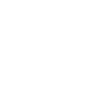 MIC-76's emblem