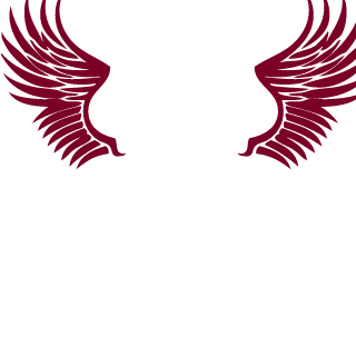 BLAZER26d's emblem