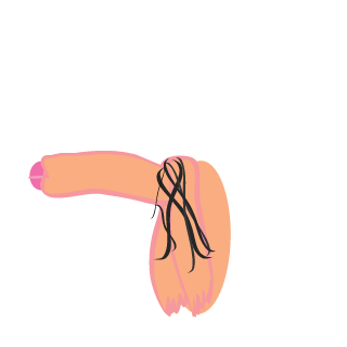 Casacoo's emblem