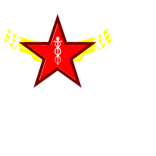 NIksonman's emblem
