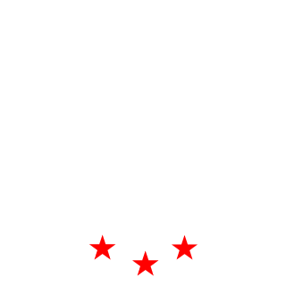 IronBulka-RUS's emblem