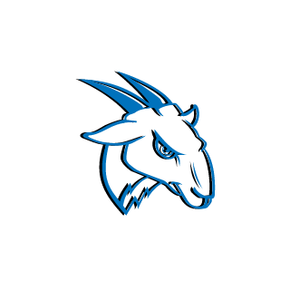 stahvfrags's emblem