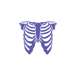 BampeeeR's emblem