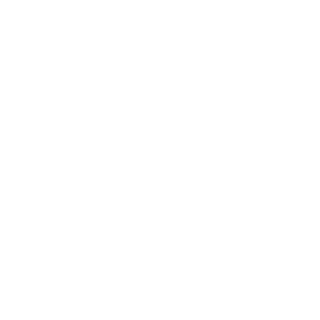 Rayca_nN's emblem